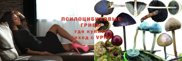 крисы Балабаново