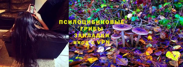 крисы Балабаново