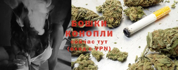 гидра Покров