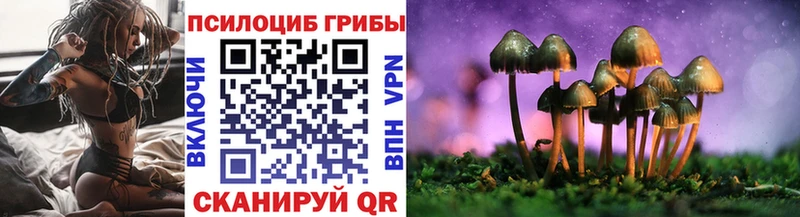 гидра ССЫЛКА Подпорожье Галлюциногенные грибы MAGIC MUSHROOMS